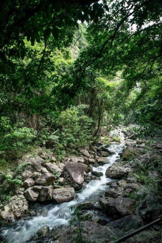 嫦娥仙子下凡找玉兔,天蓬元帅赶紧向她道歉,从此放下前尘-全面解答,快速救助